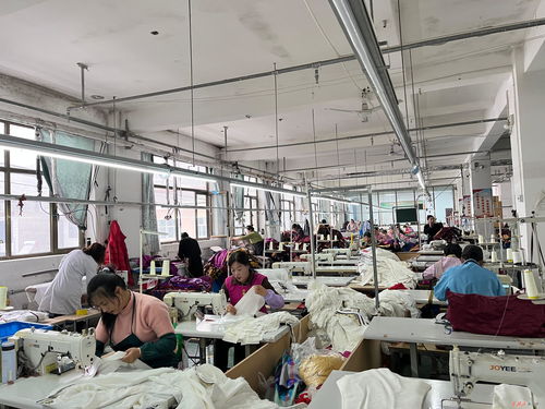 莊浪制衣廠 縫紉機(jī)聲奏響“開門紅” 數(shù)字工程織就發(fā)展新藍(lán)圖